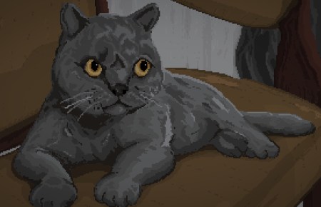 Cats in the constant state of evil and cute